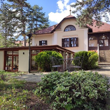 מלון באלאטונפורד Imola Garden Vendeghaz מראה חיצוני תמונה