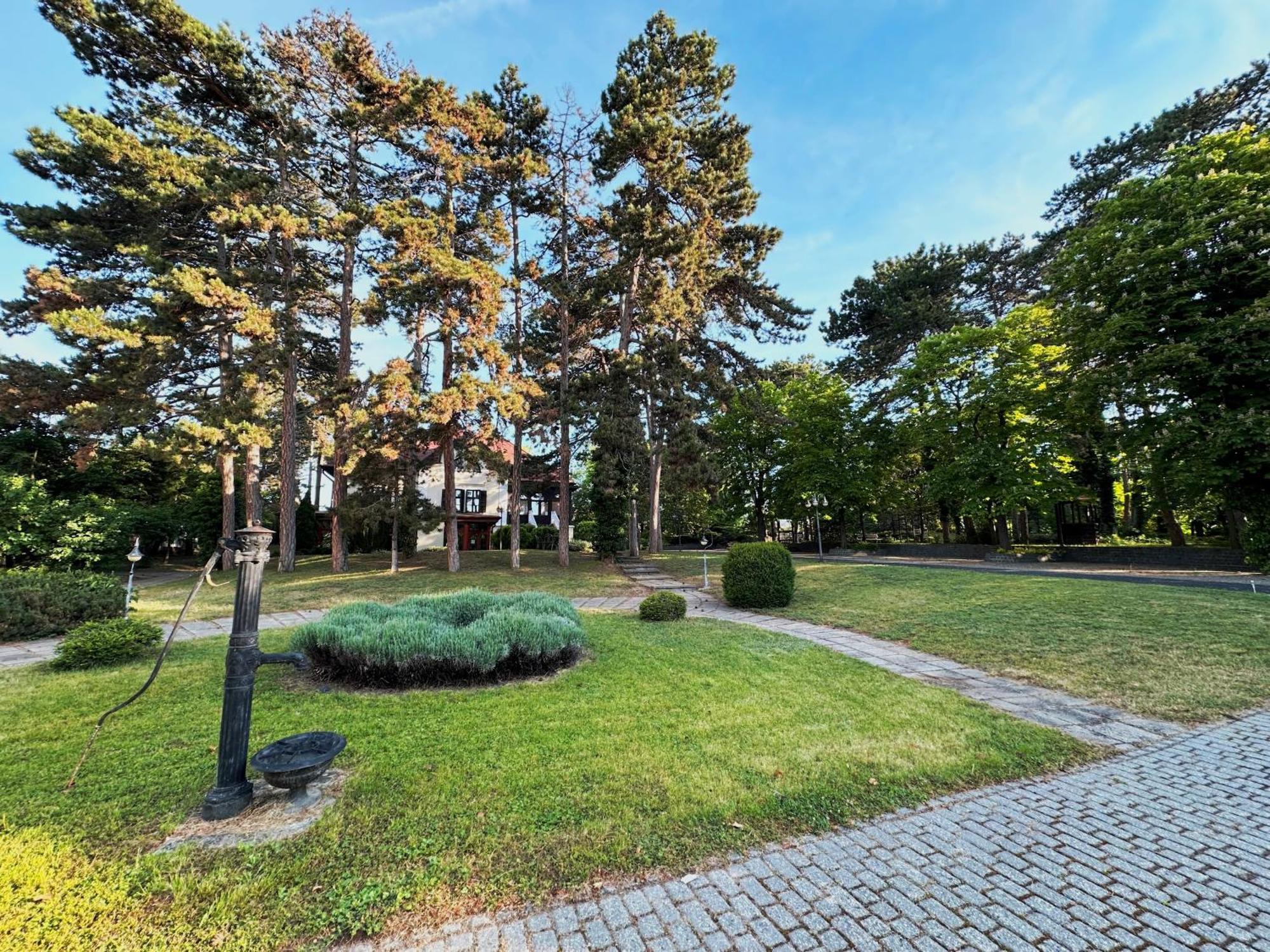 מלון באלאטונפורד Imola Garden Vendeghaz מראה חיצוני תמונה